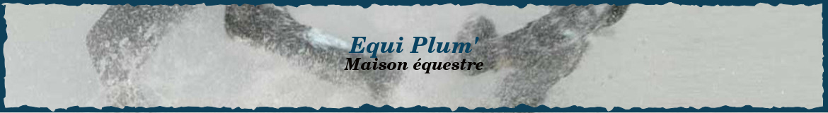 Equi Plum'